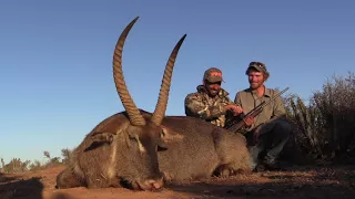 Waterbuck hunt with Thorndale Safari