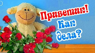 Привет! Как твои дела?