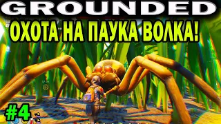 GROUNDED. ОХОТА НА ПАУКА ВОЛКА С ЛОВУШКАМИ! HUNTING A WOLF SPIDER. SPIDER BATTLE