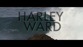 Harley Ward At Shipstern