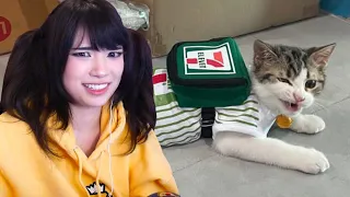 Emiru Reacts to "memes that were sent to me from twitter and reddit" by Memecorp