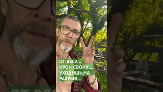 ОТ ВЕСА …КРОН СВОИХ …УХОДИШЬ НА РАЗРЫВ … #опытдуши #любовь #силаслова #ятакдумаю #senykay #кино