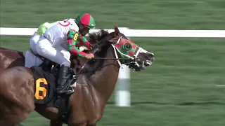 Gulfstream Park Replay show | February 2, 2019