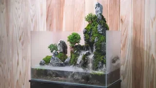 Making a Cliff Aquaterrarium with flowing waterfalls