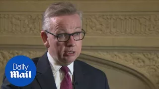 Michael Gove: Boris Johnson was 'incapable of providing unity' - Daily Mail