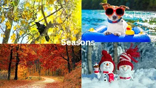 Exploring the Four Seasons in the USA!(@)FunLearning-xu2qp)