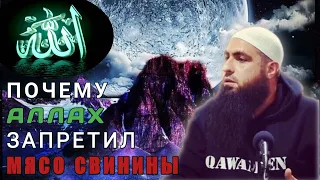 Мухаммад Хоблос - почему аллах запретил мясо свинину людям | SHORTS ISLAM