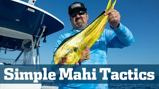 Catch More Dolphin - Florida Sport Fishing TV - Full Coolers