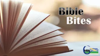 Bible Bites - Matthew 2:13-23