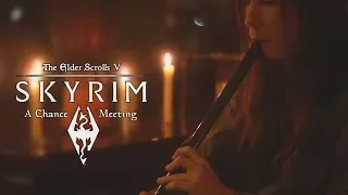 TES V Skyrim - A Chance Meeting - Cover by Dryante (Jeremy Soule)