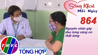 Nguyên nhân gây đau lưng căng cơ thắt lưng | Sống khỏe mỗi ngày - Kỳ 864