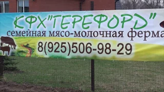 Презентация КФХ "Герефорд"