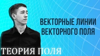 Векторные линии векторного поля