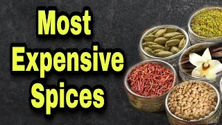 TOP 5 EXPENSIVE SPICES IN THE WORLD