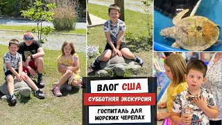 Субботняя Экскурсия | Госпиталь для Морских Черепах | Наша Жизнь в Штатах