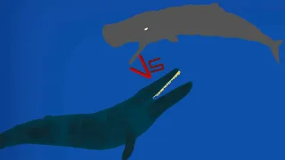 DCBA: Sperm Whale VS Blue Whale