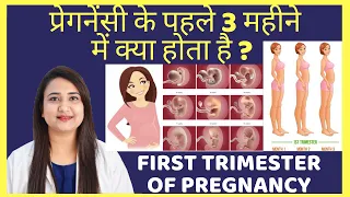 प्रेगनेंसी के पहले तीन महीने में क्या होता है ? PREGNANCY FIRST TRIMESTER