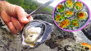 Oysters Rockefeller Fresh Wild Catch and Cook EP.481