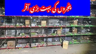 Birds market Islamabad used cages ki bahut bari offer /Cages price in itwar bazaar Islamabad #cages
