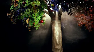 The Tree of Life | Short Film