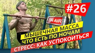 Стрим: Мышечная масса | Чем питаться ночью | Как успокоиться после стресса