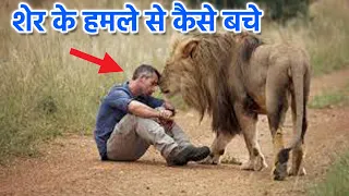 क्या करे जब कोई शेर अचानक से आप पर हमला कर दे? | How to survive Lion attack?