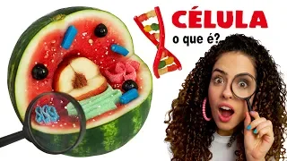 DIY CÉLULA COMESTÍVEL - O que é uma célula? | Paula Stephânia