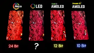 Super AMOLED vs OLED vs Flow OLED vs Dynamic AMOLED 2X - Display Test!