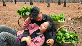 Thatched Roof Completion: Pao and Sua's Sweet Time in the Vegetable Garden