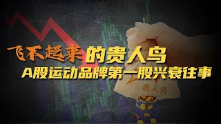 飞不起来的贵人鸟，A股运动品牌第一股兴衰往事｜危机博士 Dr. Crisis