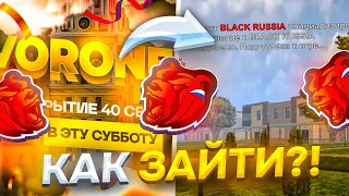 КАК ЗАЙТИ САМЫМ ПЕРВЫМ на ОТКРЫТИЕ НОВОГО СЕРВЕРА VORONEZH в БЛЕК РАША / ВОРОНЕЖ BLACK RUSSIA