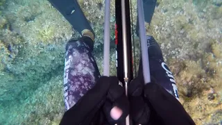 Spearfishing in Adriatic Pt. 2