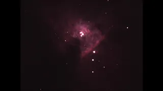 The Orion Trapezium Cluster