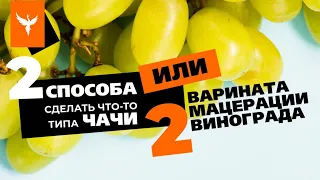 Два способа сделать что-то типа чачи или два варианта мацерации винограда