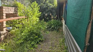 DISASTER of a backyard gets MASSIVE clean up! - Part 1 | The NEVER ENDING path.