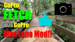 Enhance your dog POV videos using the GoPro Max Lens Mod and GoPro Fetch Harness!!! LOVE THIS!