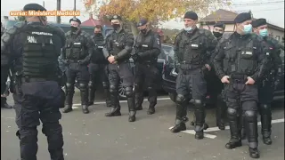 Descinderi ale jandarmilor și Gărzii de Mediu la Sintești - Nature Talks