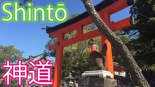 Die Grundzüge des Shintō 【Japanische Kultur】