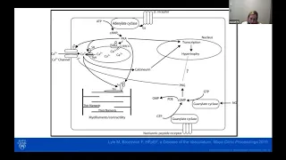 Heart Failure with Preserved Ejection Fraction, Mayo Clinic Webinar with Dr. Lyle