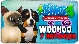 WOOHOO У ПИТОМЦЕВ - The Sims 4 "Кошки и Собаки"