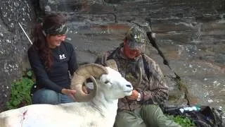 Yukon Fannin Sheep Hunt with Midnight Sun Outfitting