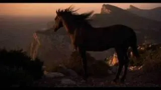 Black Dream - Black Stallion Music Video