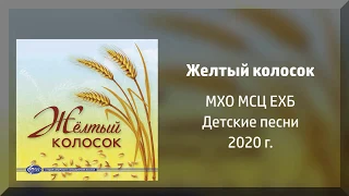 Желтый колосок - МХО Новый альбом детских песен 2020г.