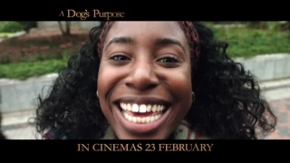 A DOG'S PURPOSE l HEAVEN l IN CINEMAS 23 FEBRUARY