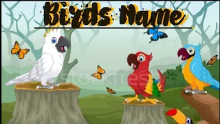 Birds Name | Birds Name in English | Birds Name with Spelling and Picture |@trainyourbrain315