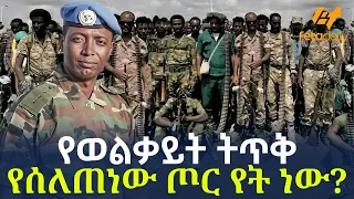 Ethiopia - የወልቃይት ትጥቅ | የሰለጠነው ጦር የት ነው?