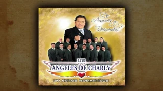 Los Angeles De Charly - Necesito