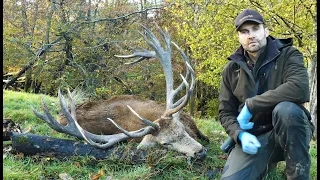 Red Stag Hunting UK
