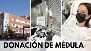 DONACIÓN de MÉDULA por aféresis| Mi experiencia