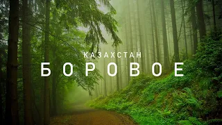 БОРОВОЕ | Что изменилось в период пандемии? Одно из Самых Красивых Мест. Где отдохнуть в Казахстане?